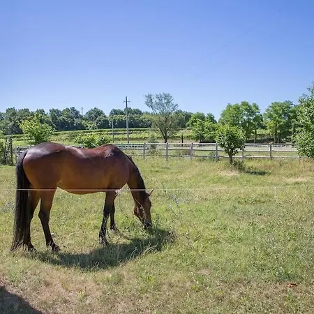 Ampia Con Splendida Vista * Pastrengo